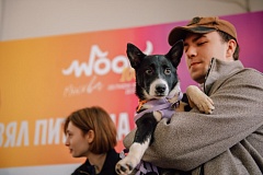 Благотворительный фестиваль WOOF пройдет в Москве 17 и 18 октября