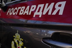 Московские росгвардейцы задержали мужчину, решившего «из интереса» похитить элитный алкоголь из супермаркета